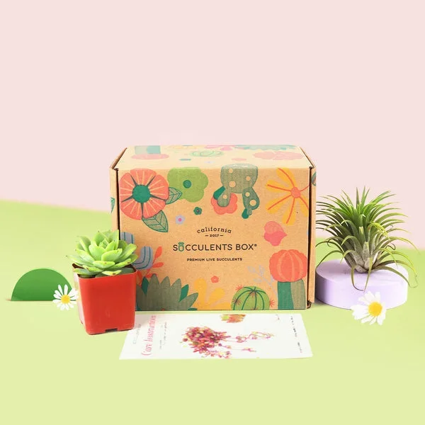 Gift 1 Airplant 1 Succulent/ Month – 12 month Subscription Auto renew