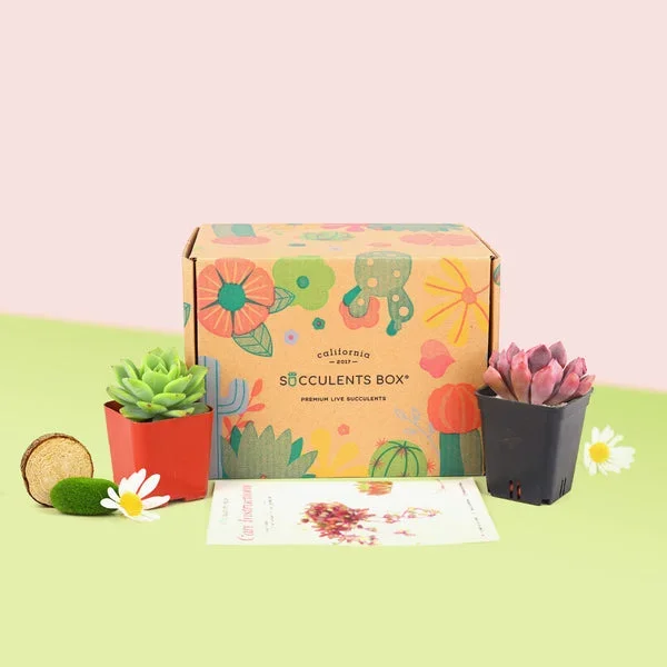Gift 2 succulent/ month – 12 month Subscription – 1 time charge