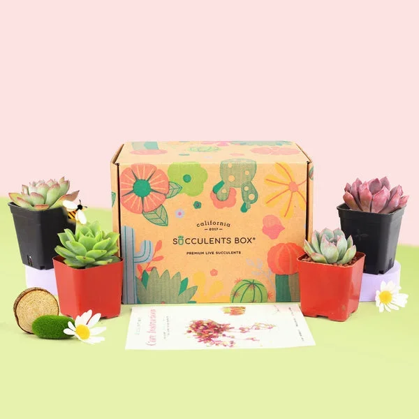 Gift 4 succulent/ month – 12 month Subscription – 1 time charge