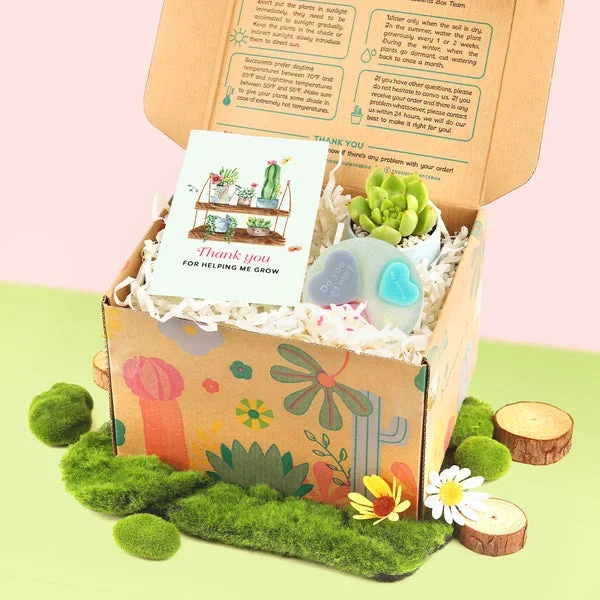 Gift Box – 1 Succulent and 1 Heart Glitter Soap
