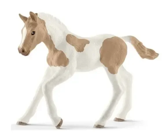 H13884 – hc PAINT HORSE MARE 5