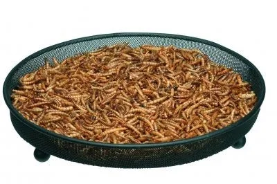 Harrisons Metal Ground Feeder