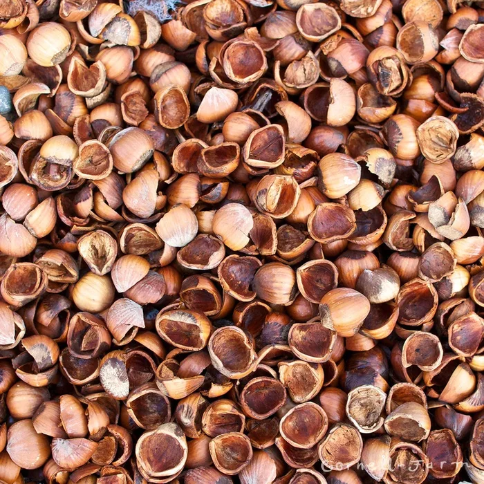 Hazelnut Shells 1.5 cu. ft.