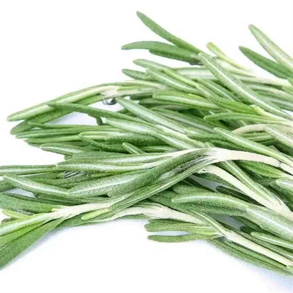 Herbs Plant 1L – Set of 4 – Rosemary