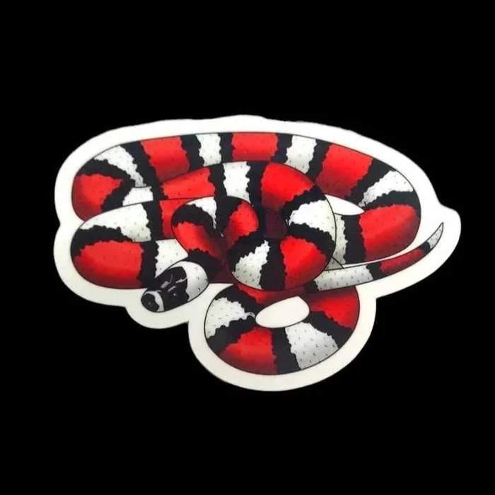 Honduran Milk Snake Sticker