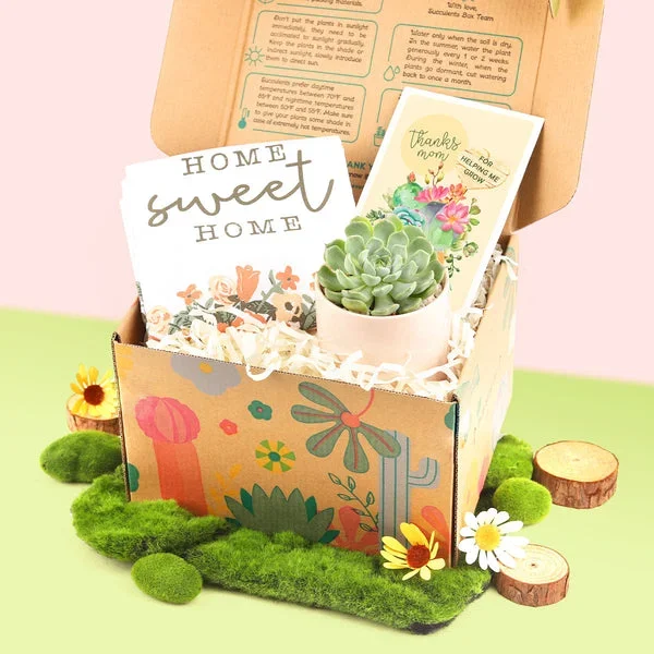 Housewarming Gift Box – 1 Succulent and 1 Kitchen Towel