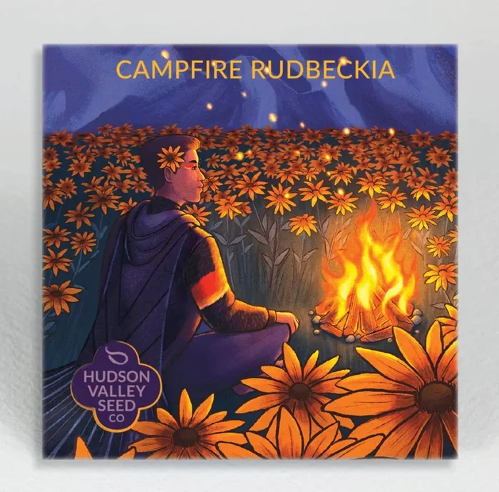hudson valley campfire rudbeckia seeds (2024)