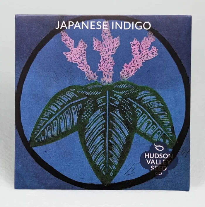 hudson valley japanese indigo seeds (2024)