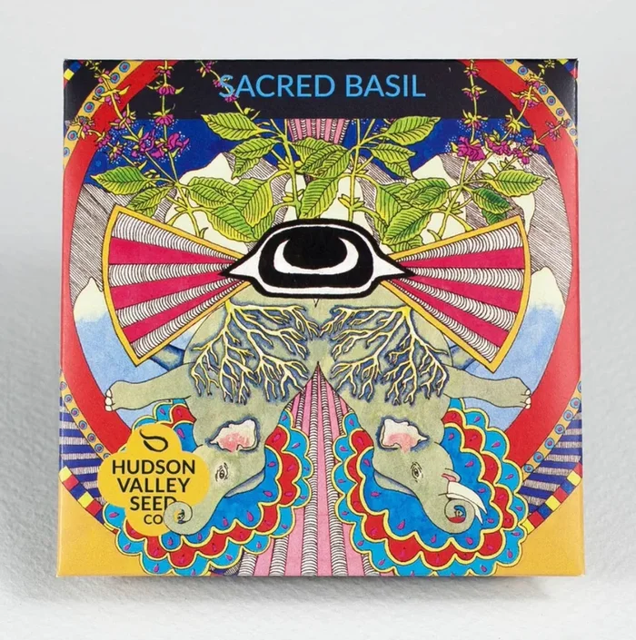 hudson valley sacred basil seeds (2024)