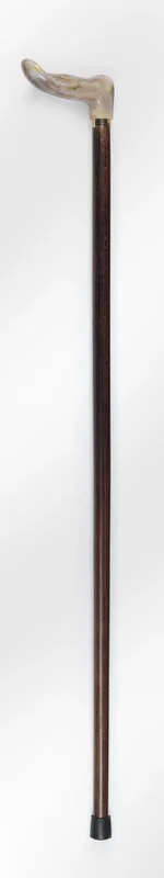 Jackdaw Left Handed Walking Stick – WK0020