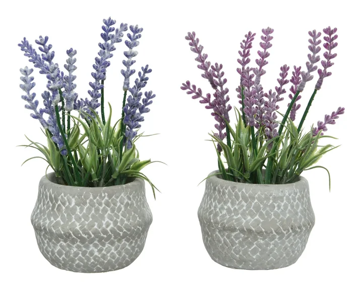 Lavender in PVC Cement Pot