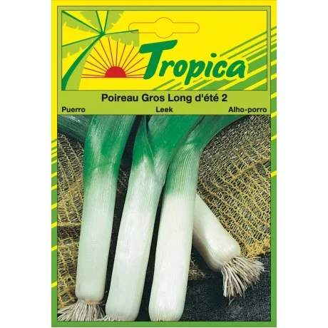 Leek (Summer Long) Seeds By Tropica