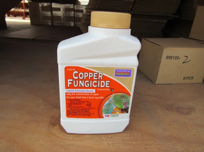 Liquid Copper Fungicide – 8oz
