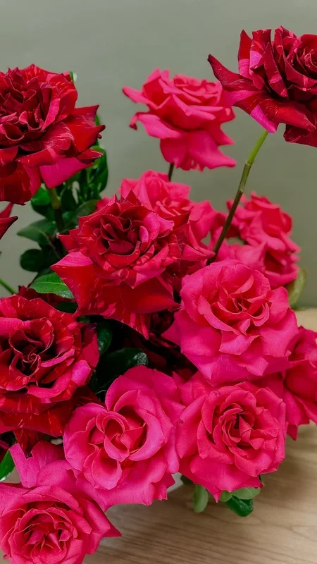 Lucky In Love