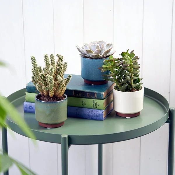 Malibu Succulent Pot – Green