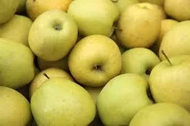 Malus ‘Golden Delicious’ Apple