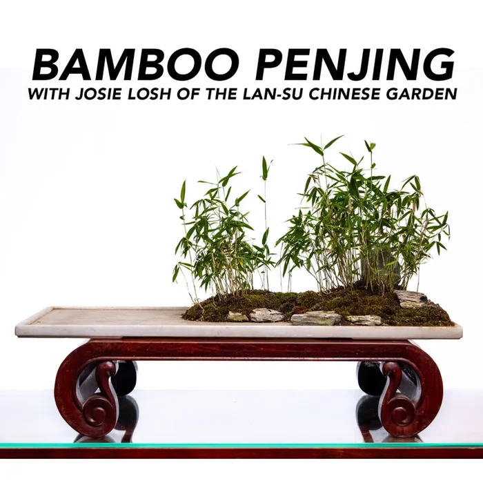 Miniature Bamboo Penjing Workshop