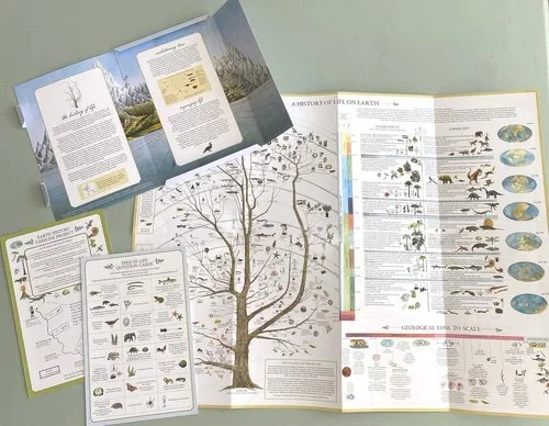 Natural History Pocket Chart #1- Life On Earth From Fairhope Graphics