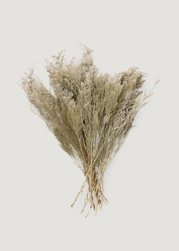 Natural White Dried Caspia Flowers – 4 oz Bunch
