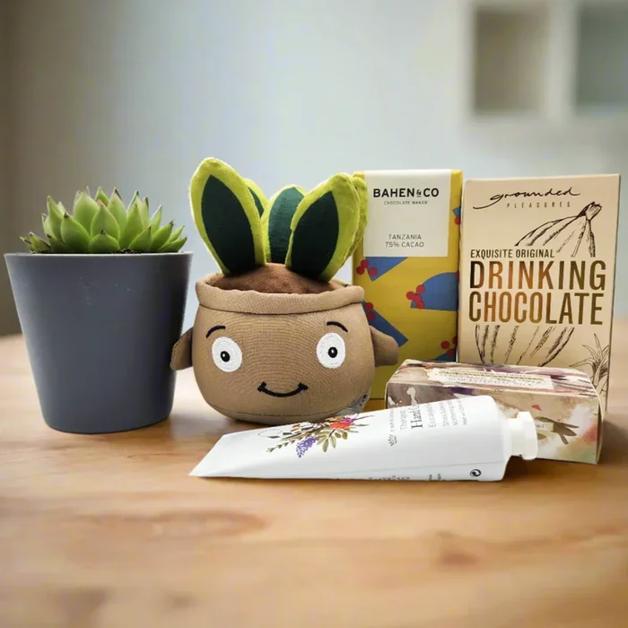 Pamper – Succulent Hamper / Succulent Gift Box – Sydney Only