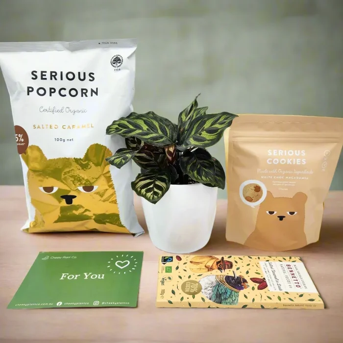 Pet Friendly Plant Gift Hamper – Sydney Only