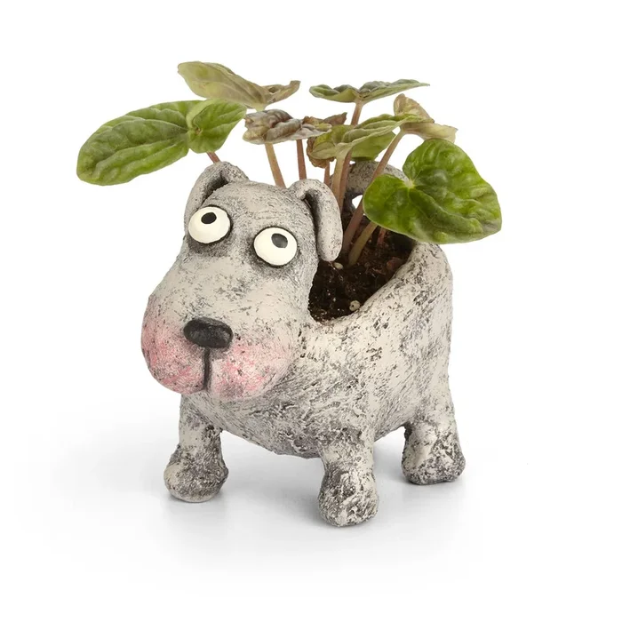 Petunia Dog Planter Succulent Arrangement