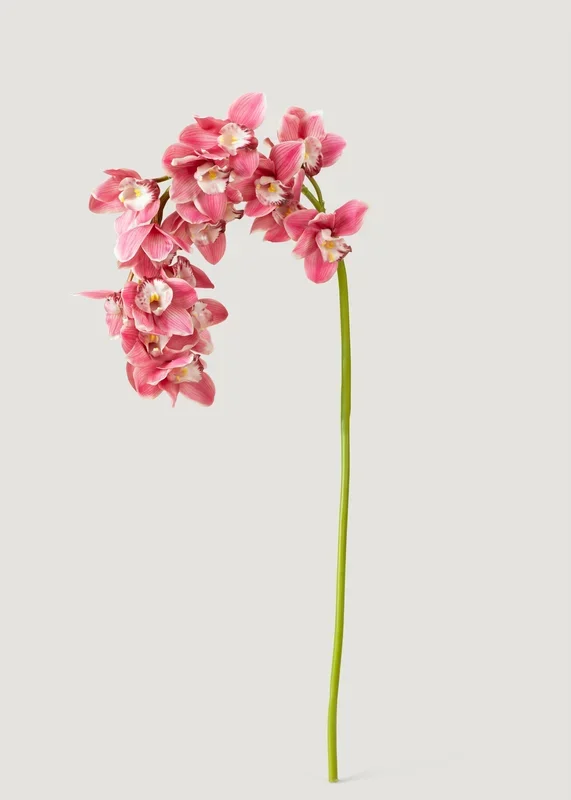 Pink Large Natural Touch Cymbidium Orchid – 45″