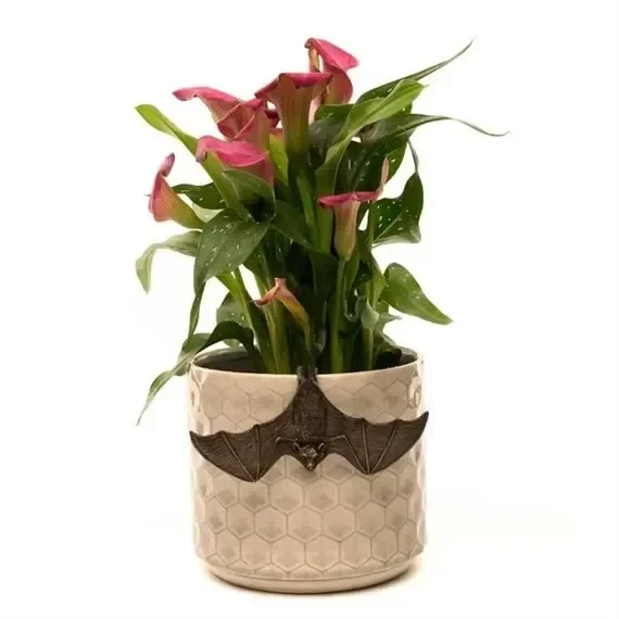 Potty Feet Decorative Pot Buddies – Antique Bronze Bat – Wings Open (PB0006)