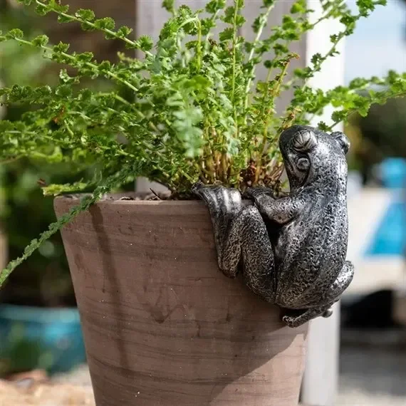 Potty Feet Decorative Pot Buddies – Antique Bronze Frog (PB0004)
