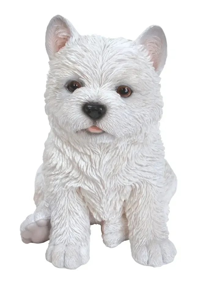 PP West Highland Pup F