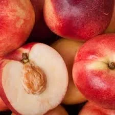 Prunus ‘Goldmine’ Nectarine