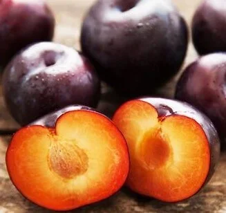 Prunus ‘Spring Satin™ Plumcot’ Dwarf