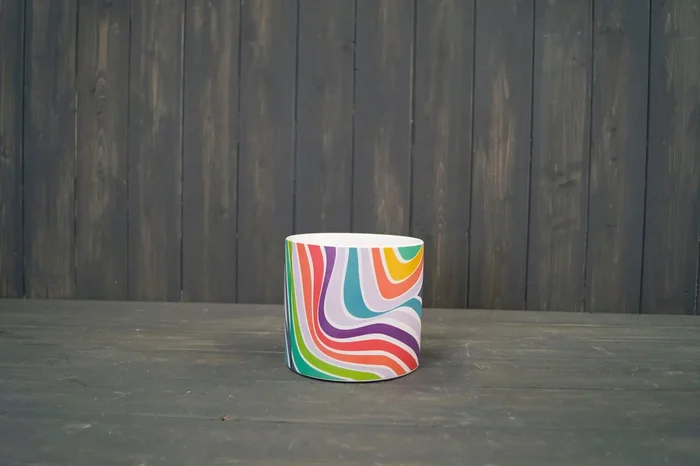 Rainbow Houseplant Pot (13.8cm)