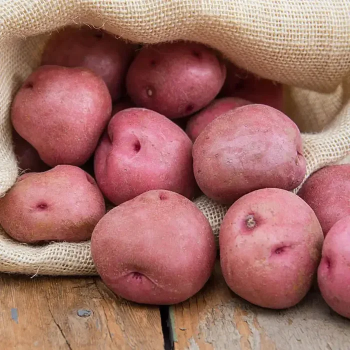 Red La Soda Potato