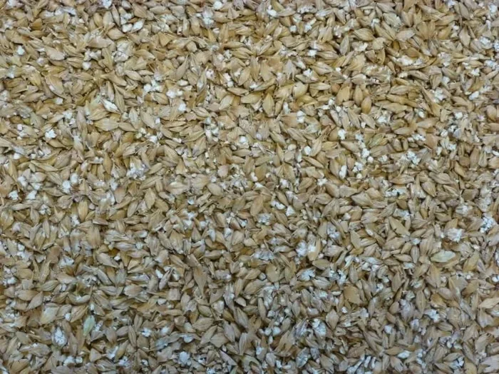 Rolled Barley 20kg