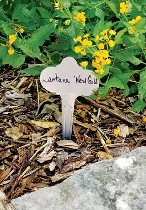 Scalloped Markers