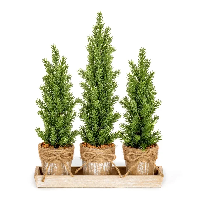 Set of 3 Potted Christmas Trees in Saucer