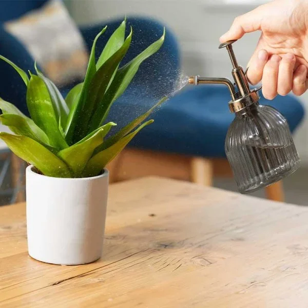 Slate Grey Glass House Plant Mister – 250ml