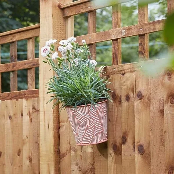 Smart Garden Fence and Balcony 6in Hanging Pot Fern – Terracotta
