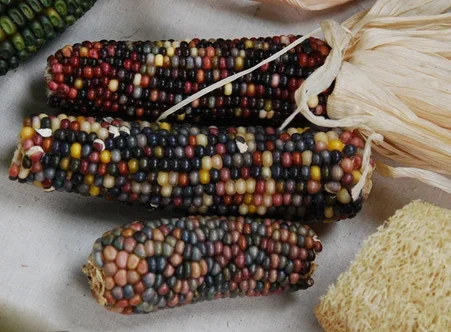 Smoke Signals Corn