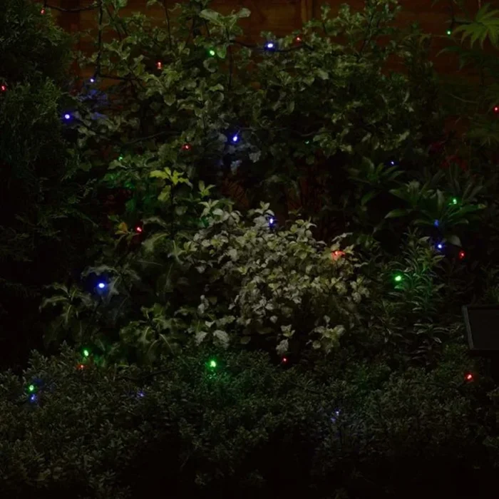 String Lights – 50 Multi Coloured Led