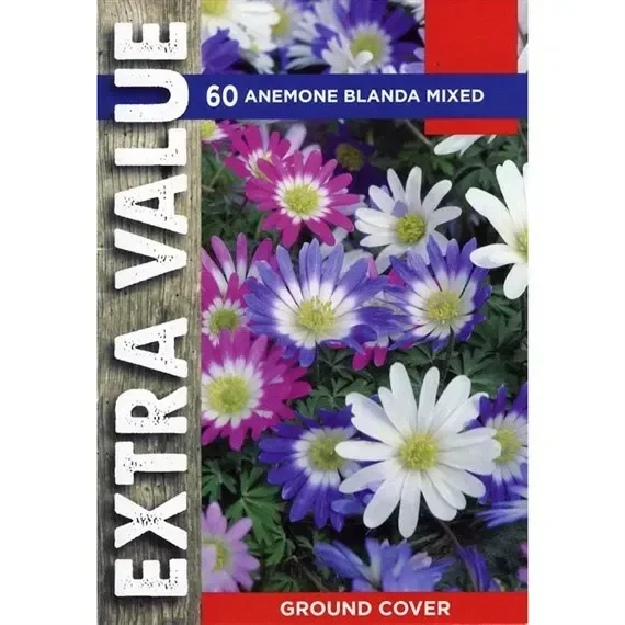 Taylors Bulbs Anemone Blanda Mixed – Pack of 60 – Extra Value Range (EV131)