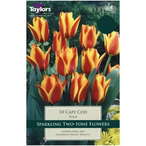 Taylors Bulbs Tulip Cape Cod – Pack of 9 (TP515)