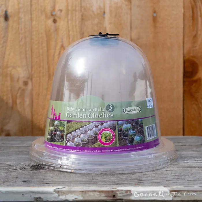 TDI Baby Victorian Bell Cloche 3pack