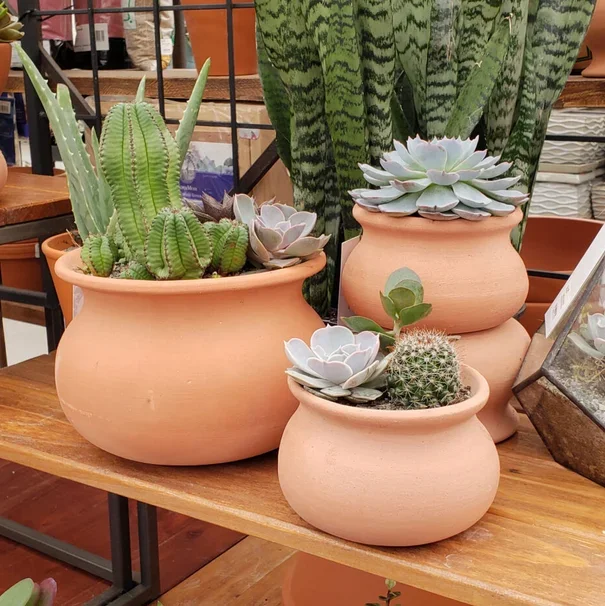 Terracotta Wash Pot