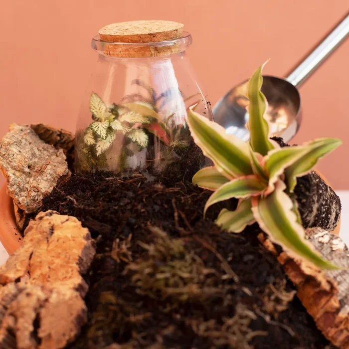 Terrarium soil mix