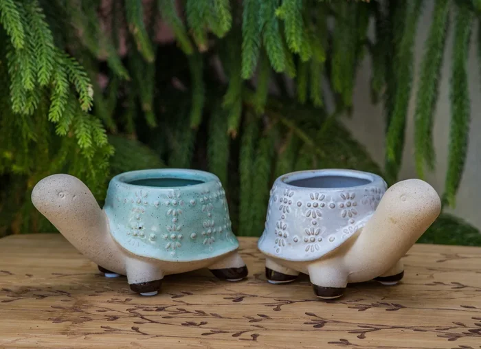 Turtle Planter – 3 Colors