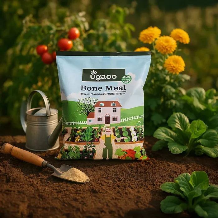 Ugaoo Bone Meal – 1 kg