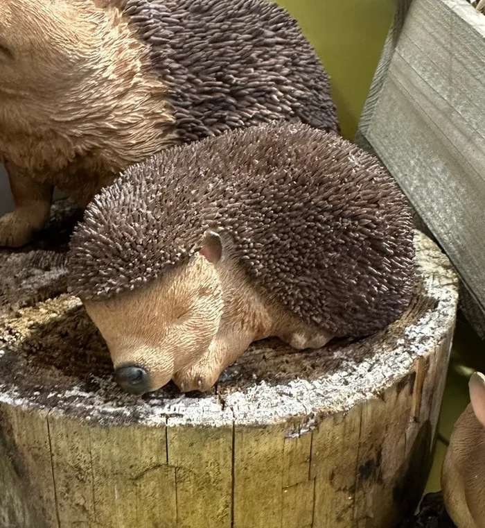Vivid Arts – Sleeping Baby Hedgehog Garden Ornament