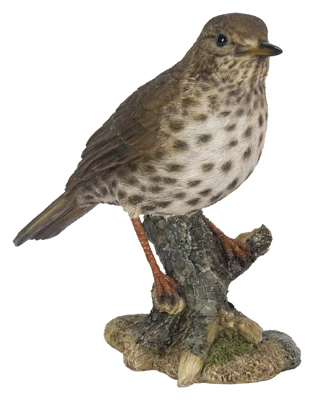 Vivid Arts – Song Thrush Bird on Branch Garden Ornament